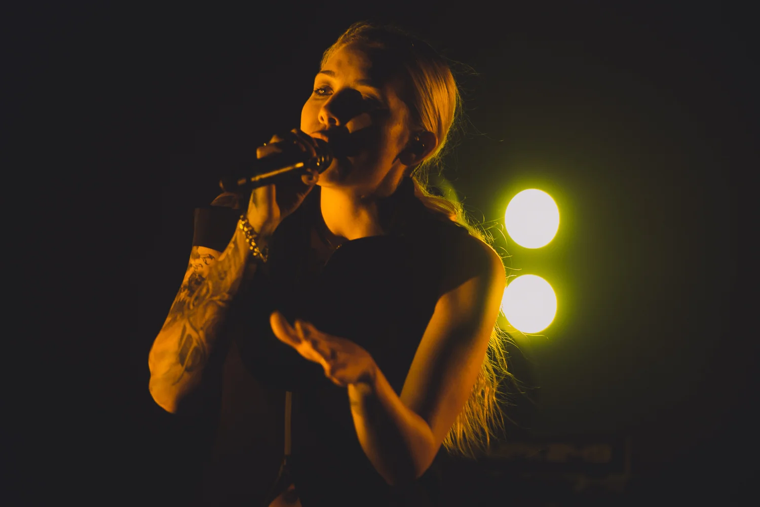 Skylar Grey - Wonder Ballroom - Portland - Gregory Nolan - 09.24.16-158.jpg