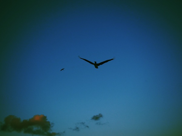Transient