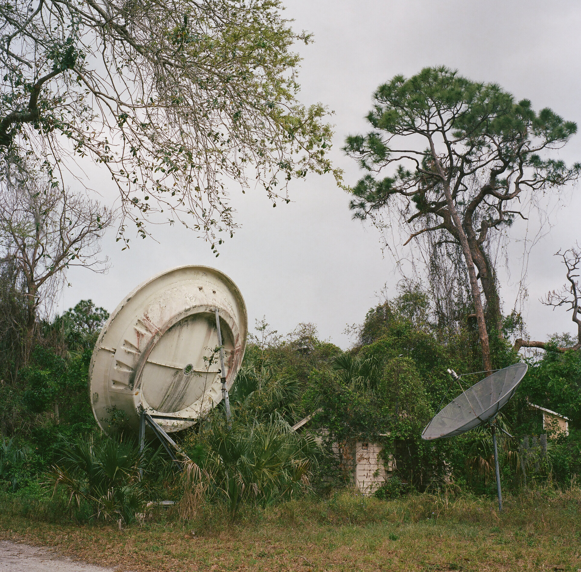 MITCHELL_SPACECOAST_WIDE (109 of 111).JPG