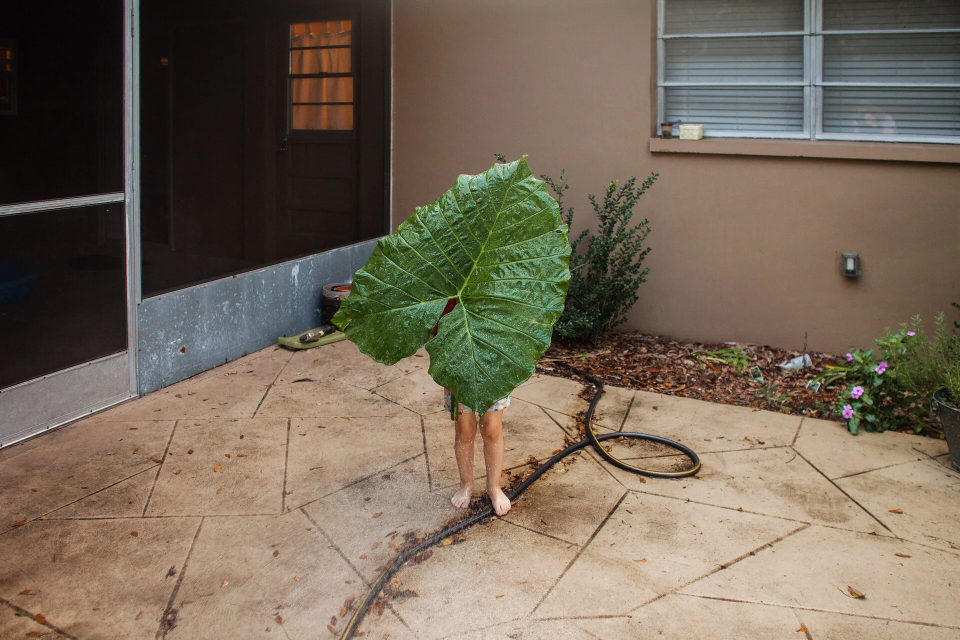 MITCHELL_SPACECOAST_WIDE (4 of 111).JPG