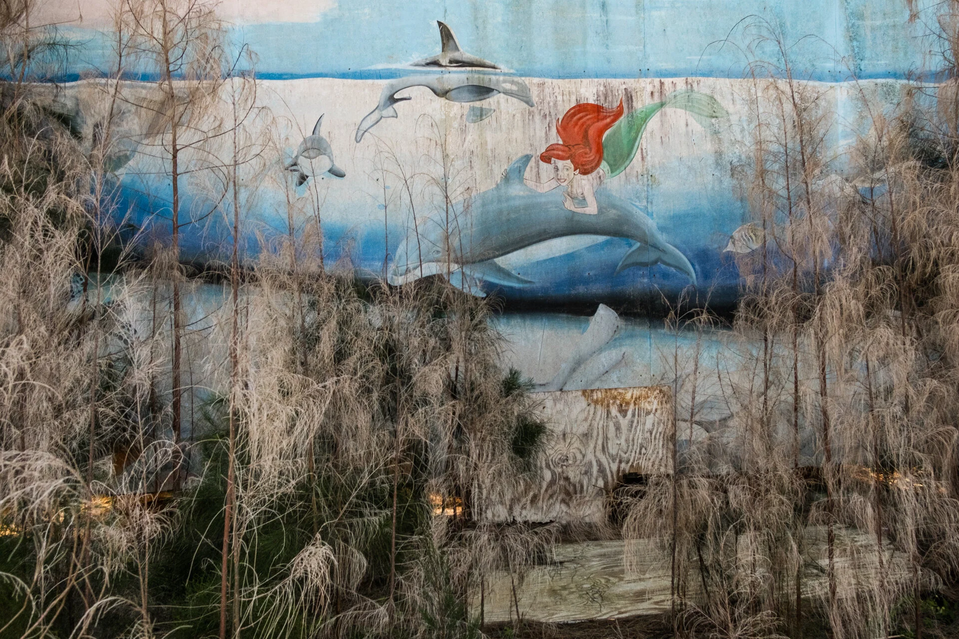 MITCHELL_SPACECOAST_WIDE (103 of 111).JPG