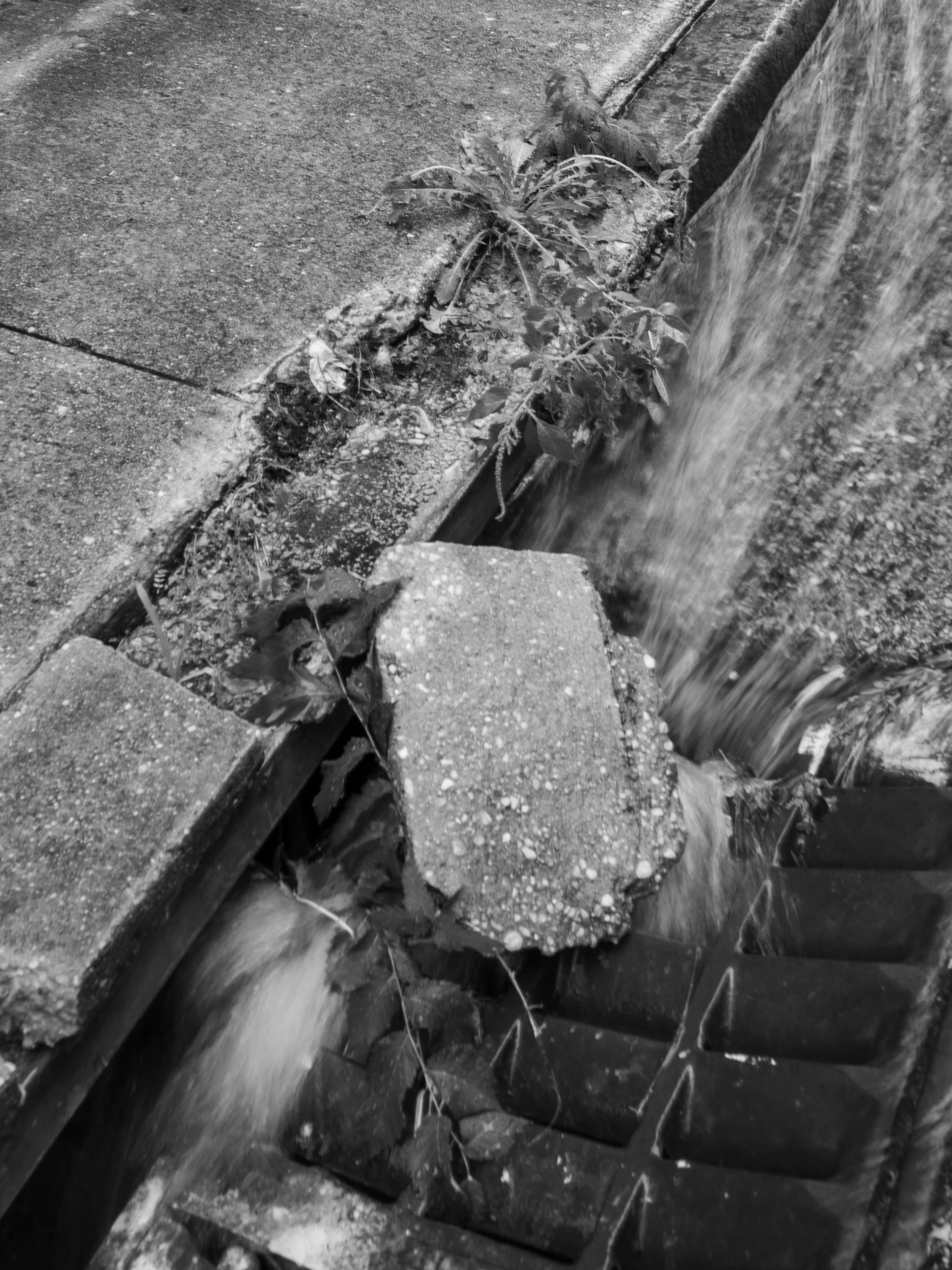 Baltimore-Photo-Project-25.jpg