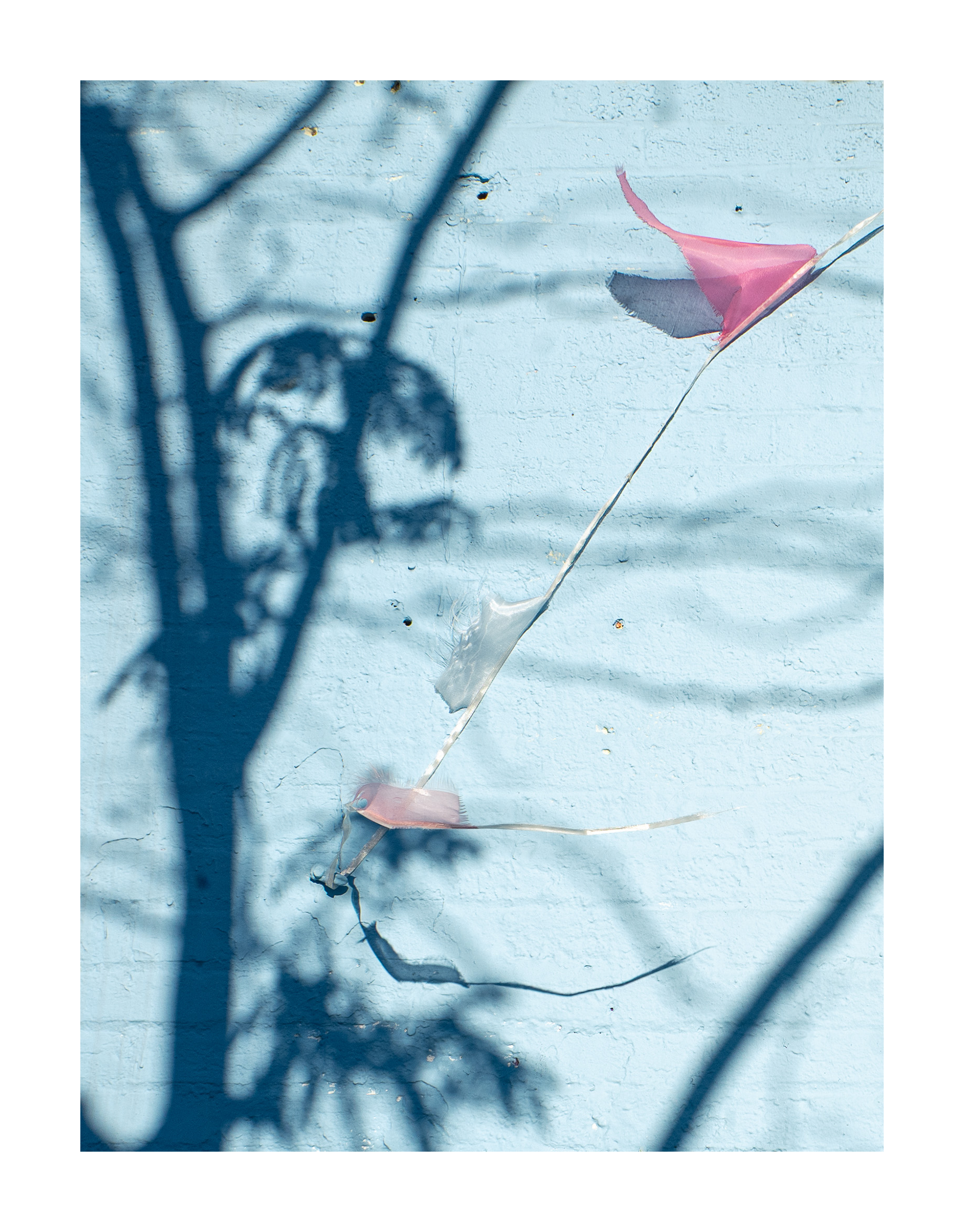 L1390181.png