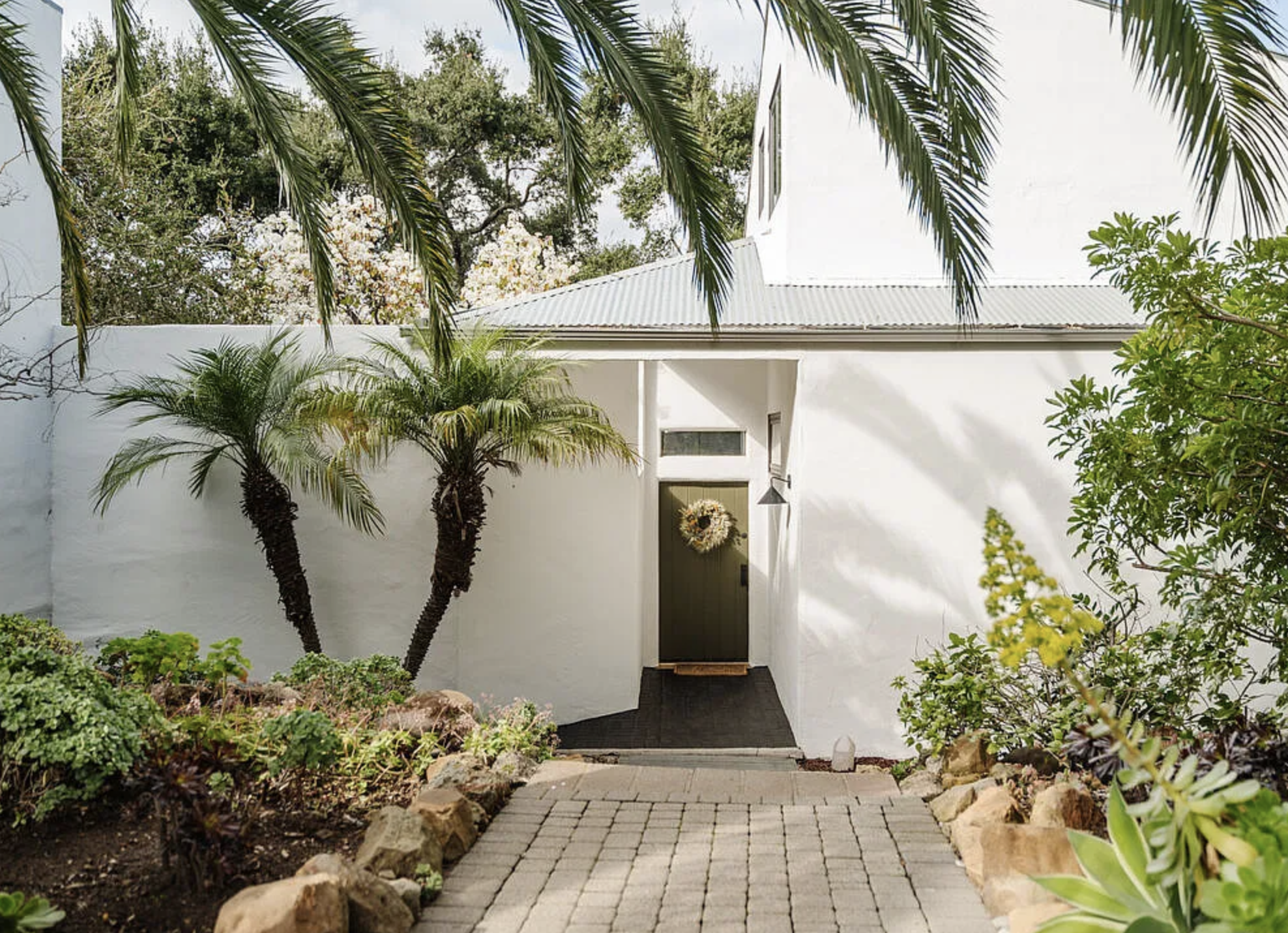 mason st peter tuna canyon 2.png