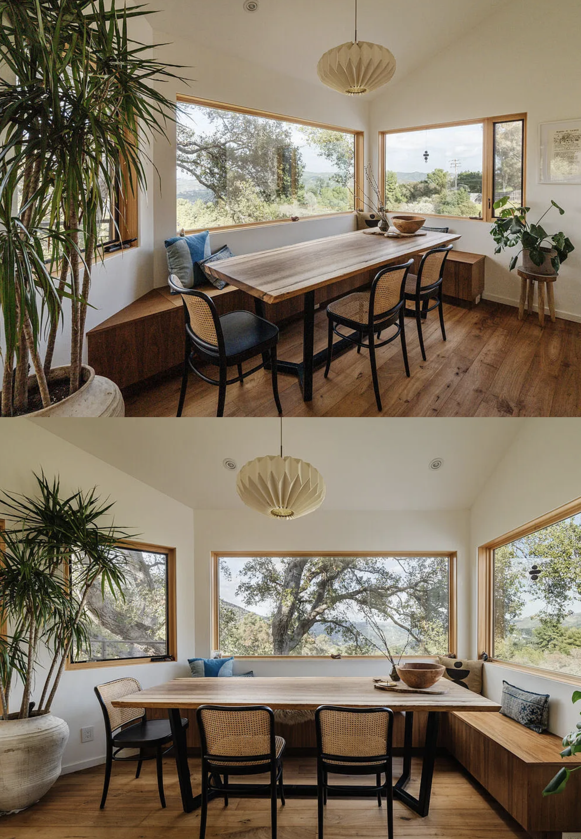 mason st peter tuna canyon 18.png