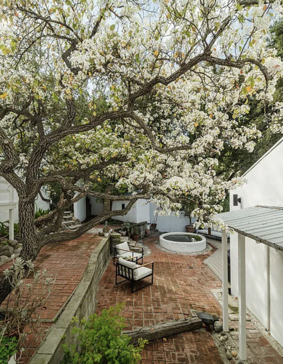 mason st peter tuna canyon 20.png