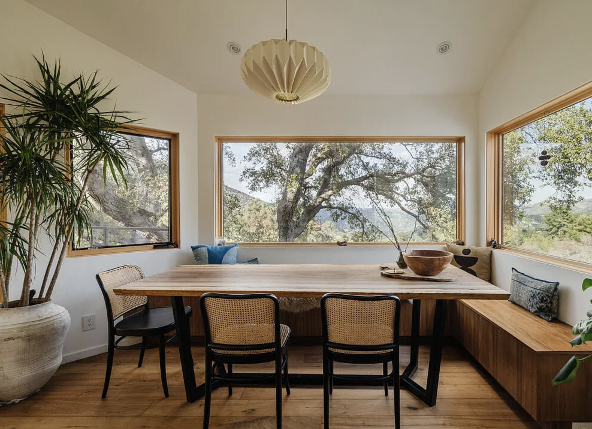 mason st peter tuna canyon 19.png