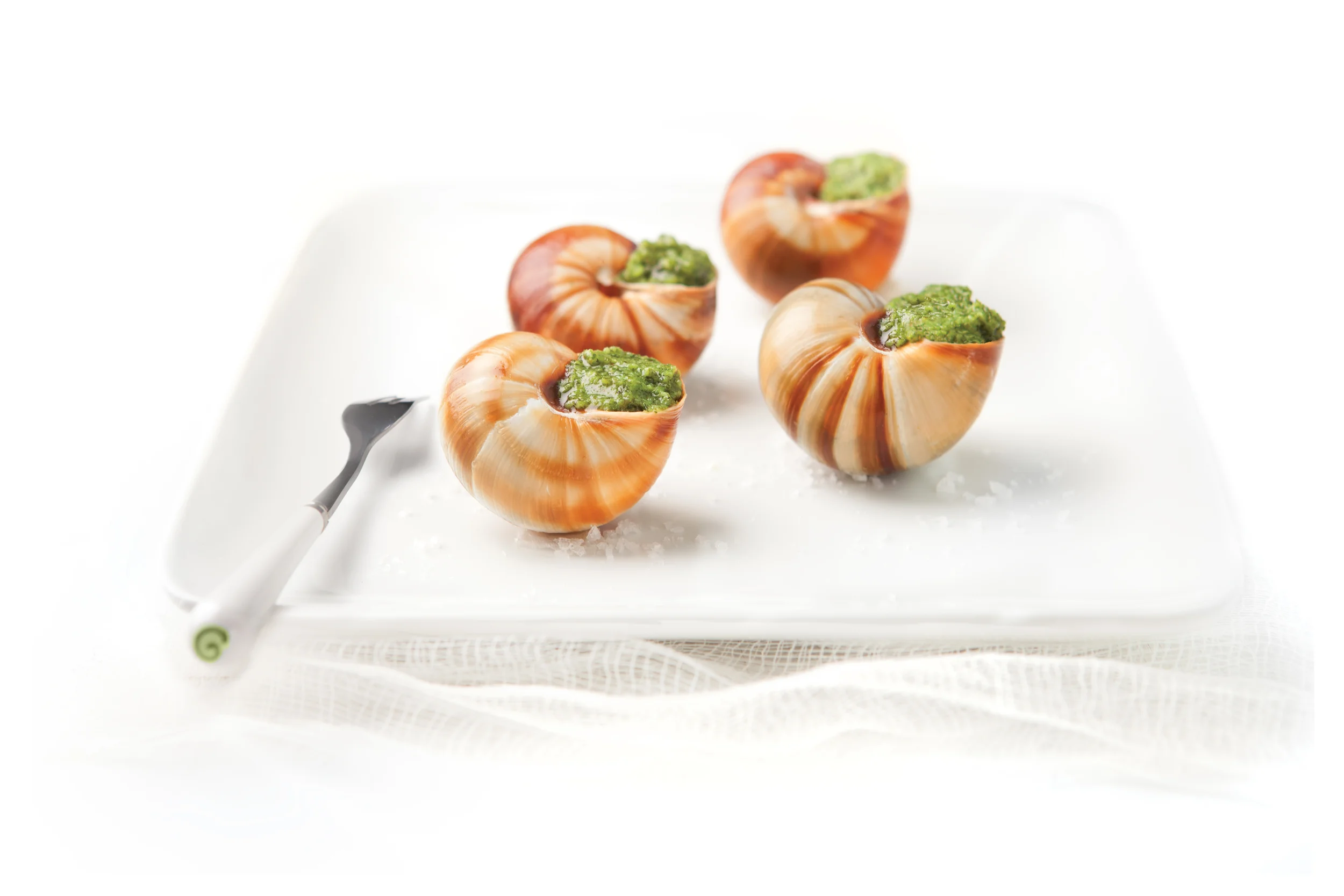 EscargotsWT1800x1200.jpg