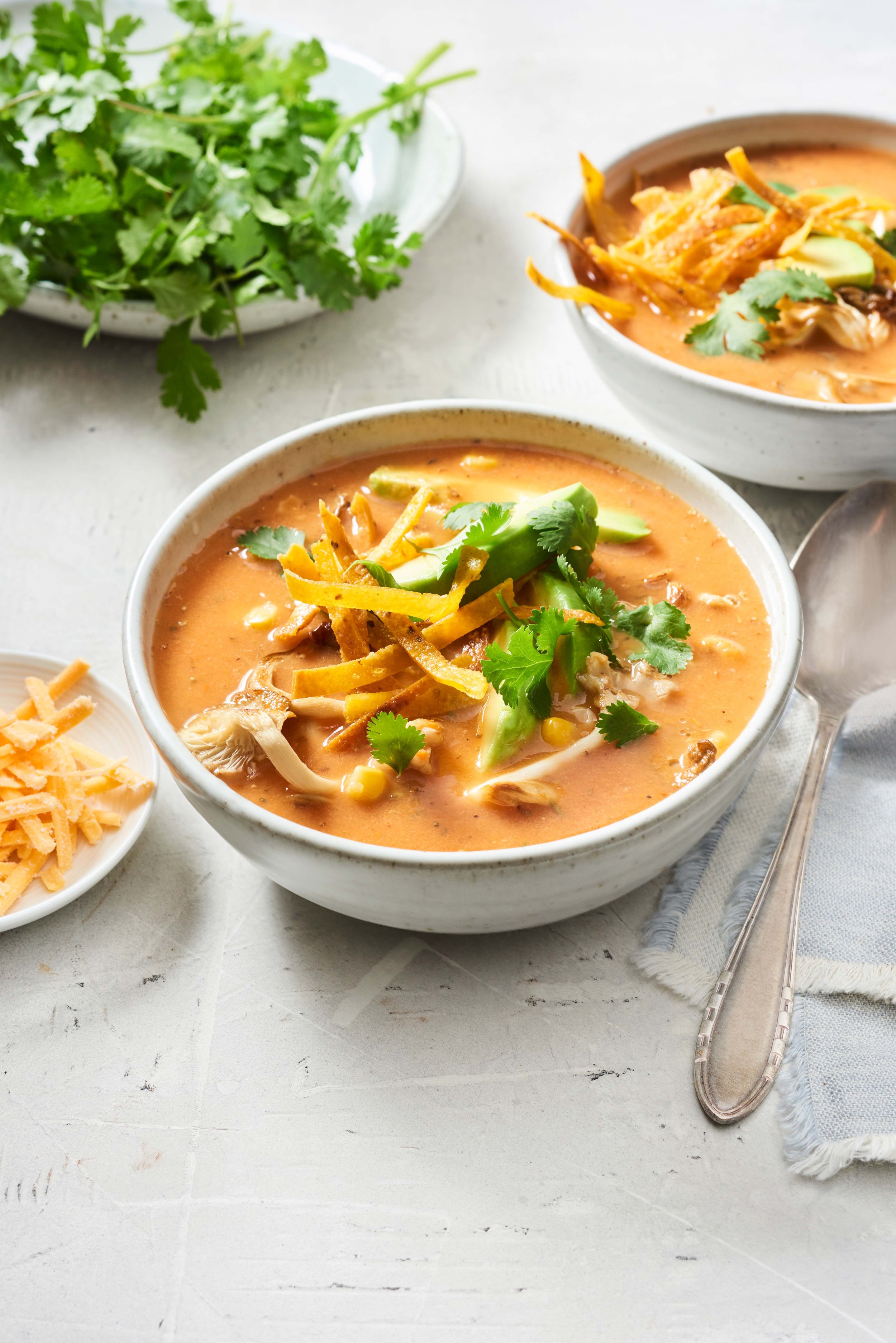 30DayVeganBeginners_TexMexTortillaSoup.jpg