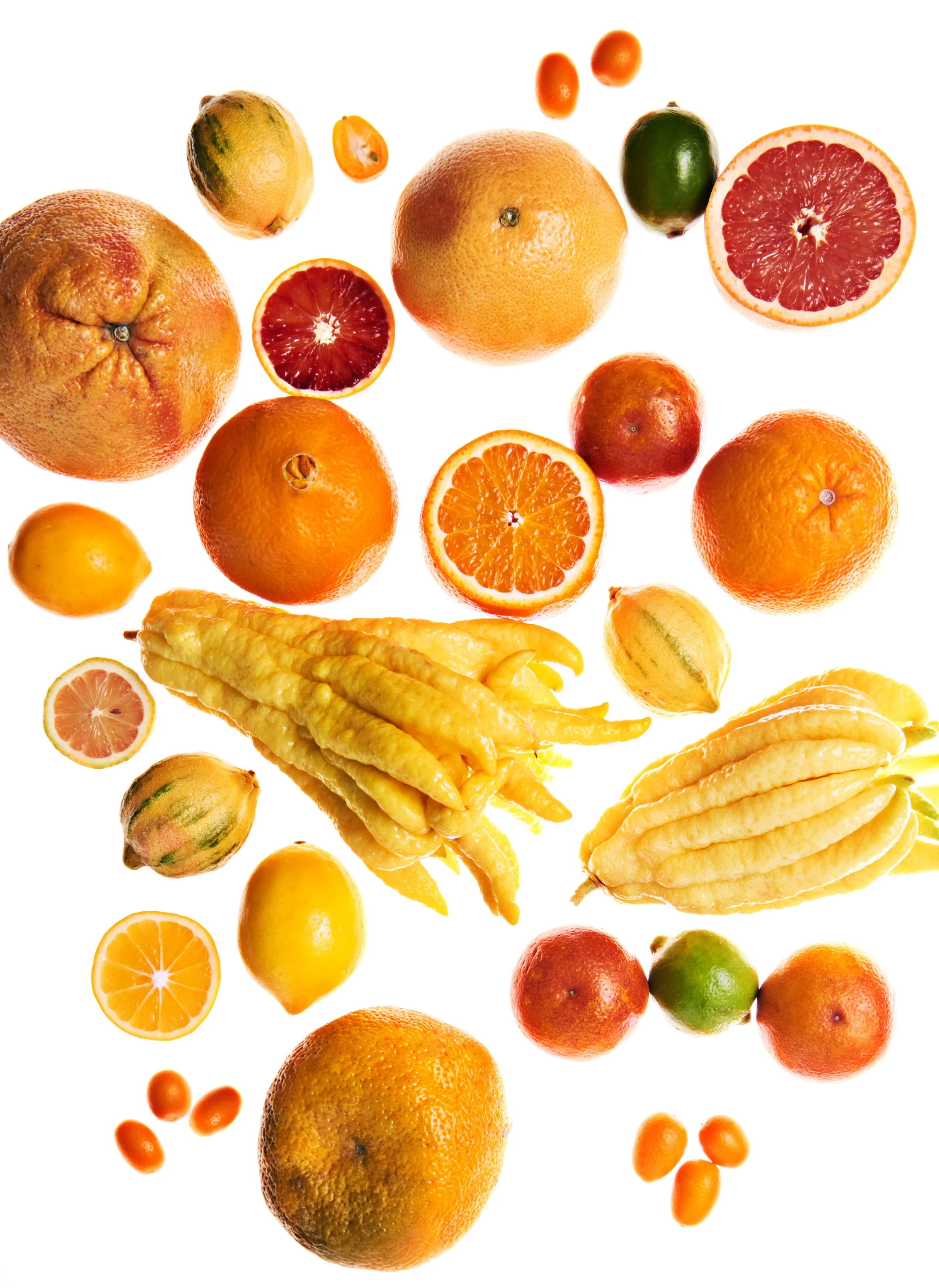 Citrus2.jpg