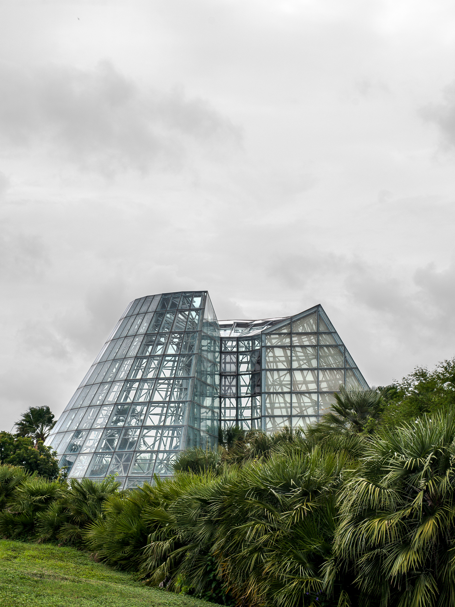 Walter_20140618_.jpg