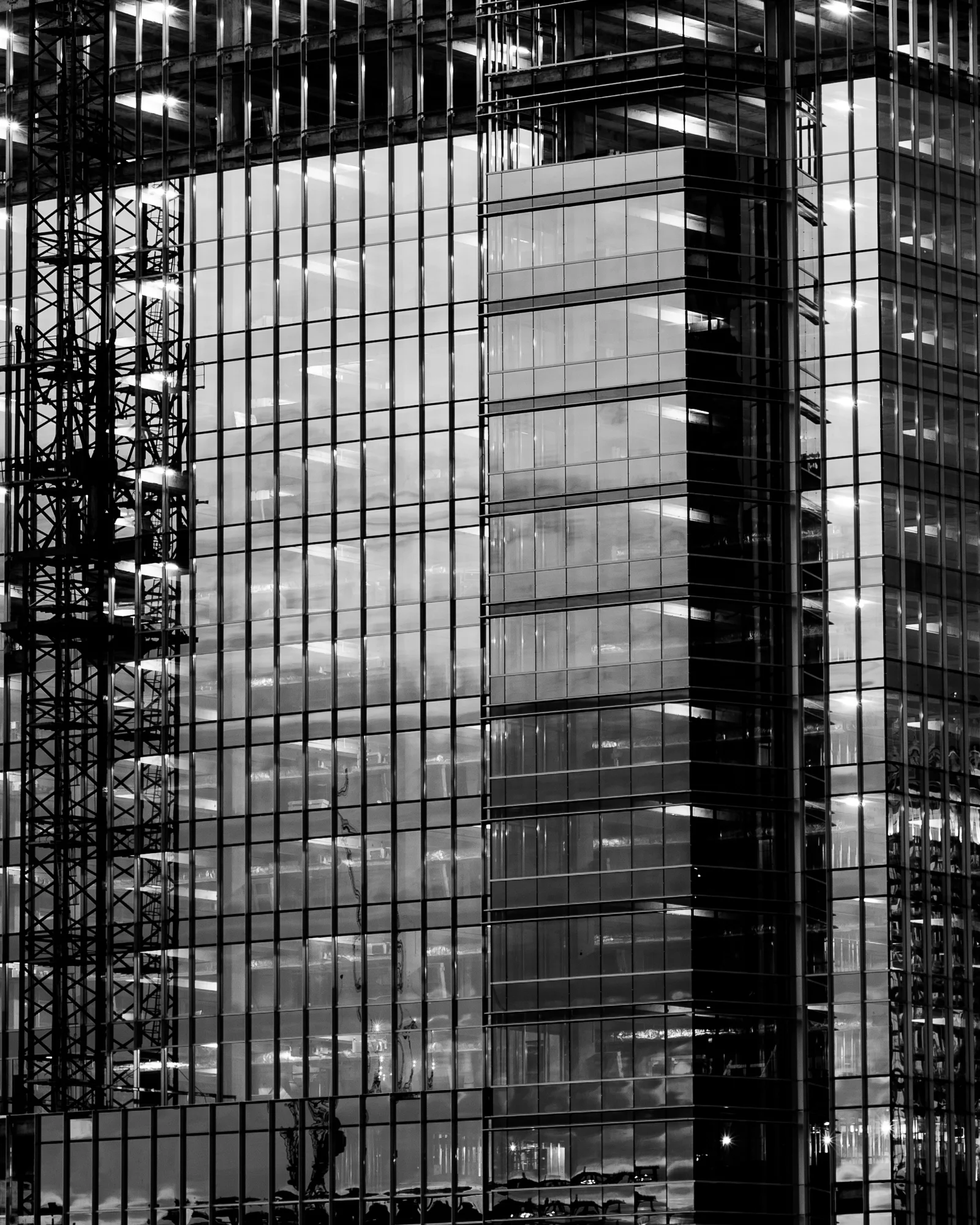 Walter_20140714_6260.jpg