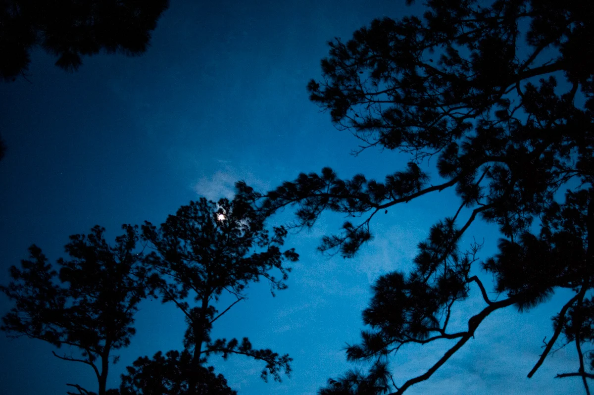 Walter_20161007_5892.jpg
