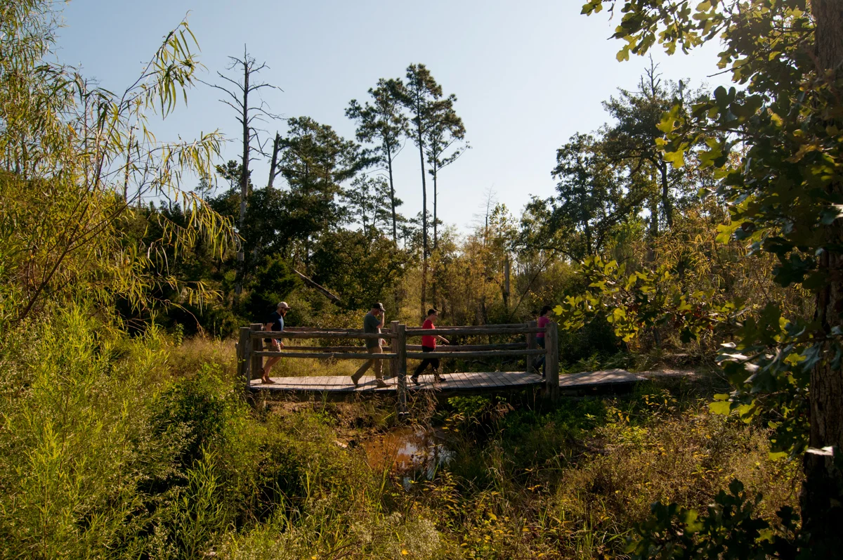 Walter_20161008_5461.jpg