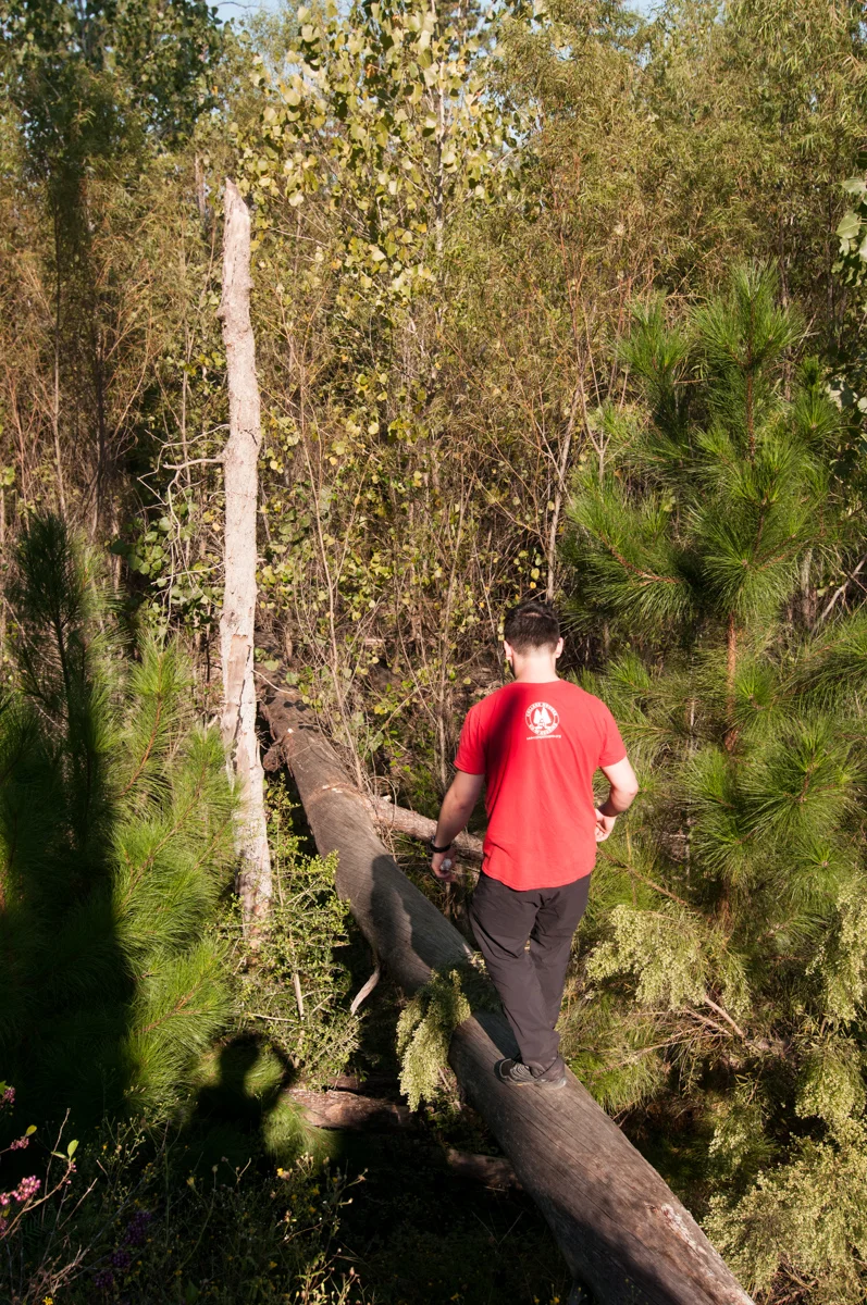 Walter_20161008_5463.jpg