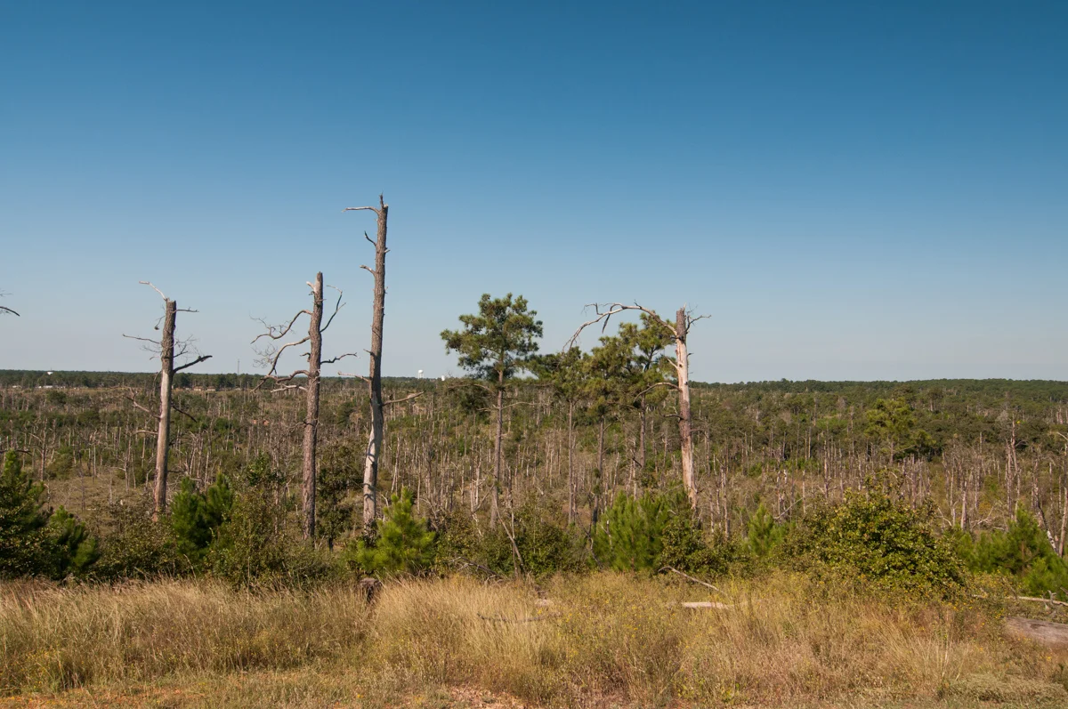 Walter_20161008_5470.jpg