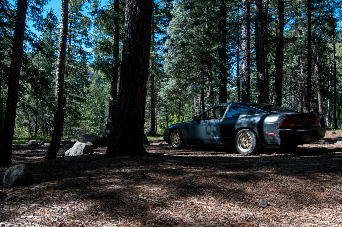 Walter__20150530_8301.jpg