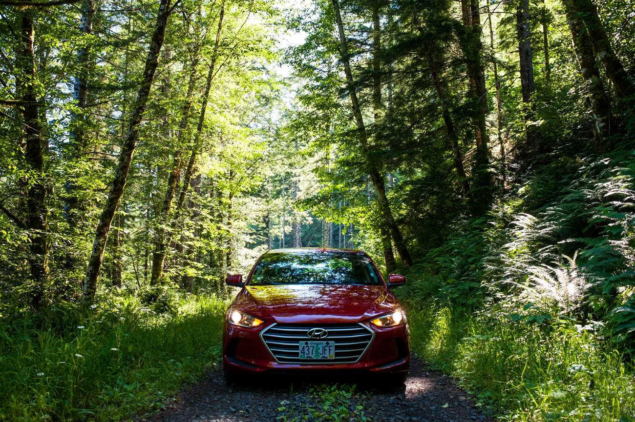 Walter_20160627_4211.jpg