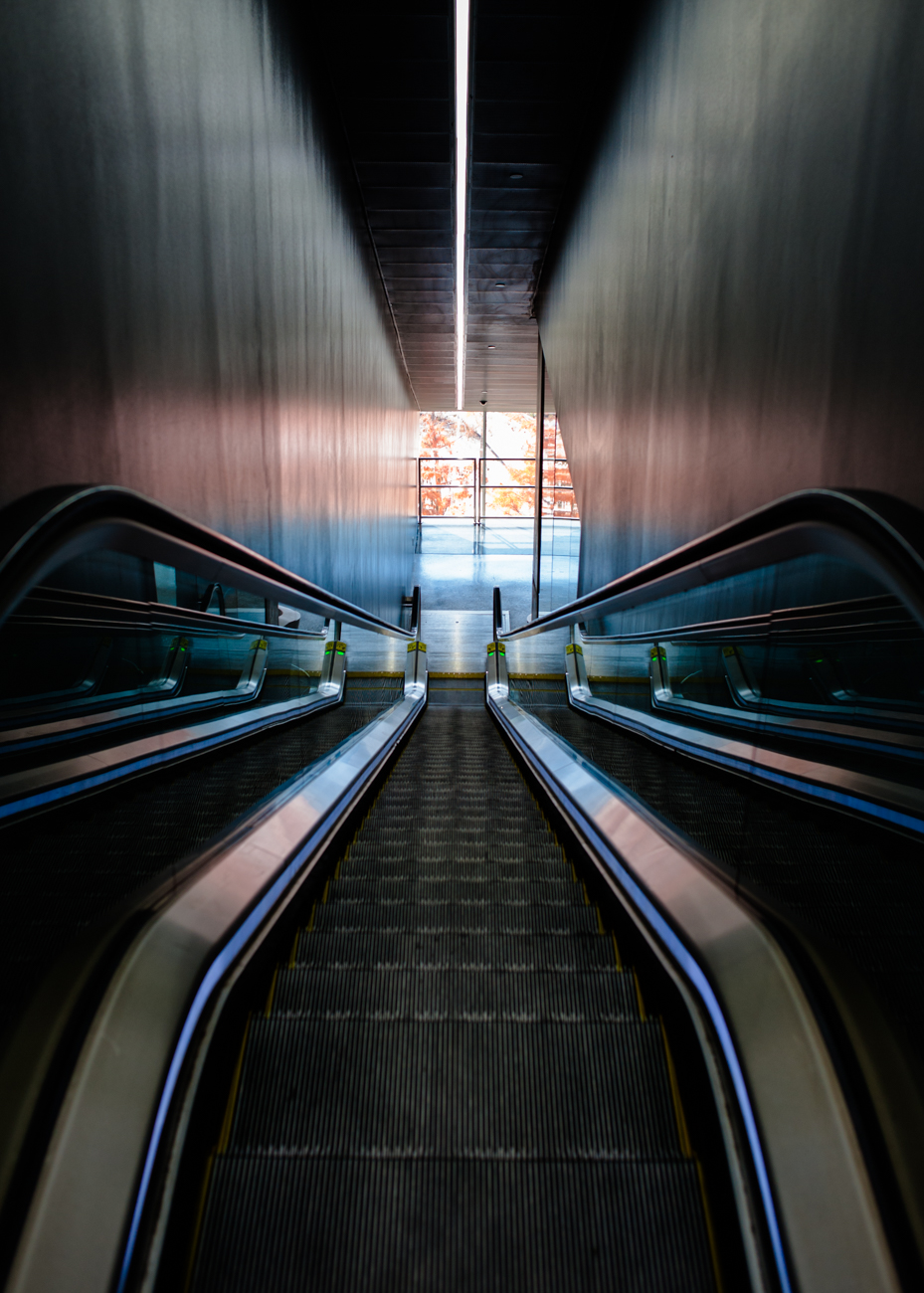 Walter_20141201_0236-Edit.jpg