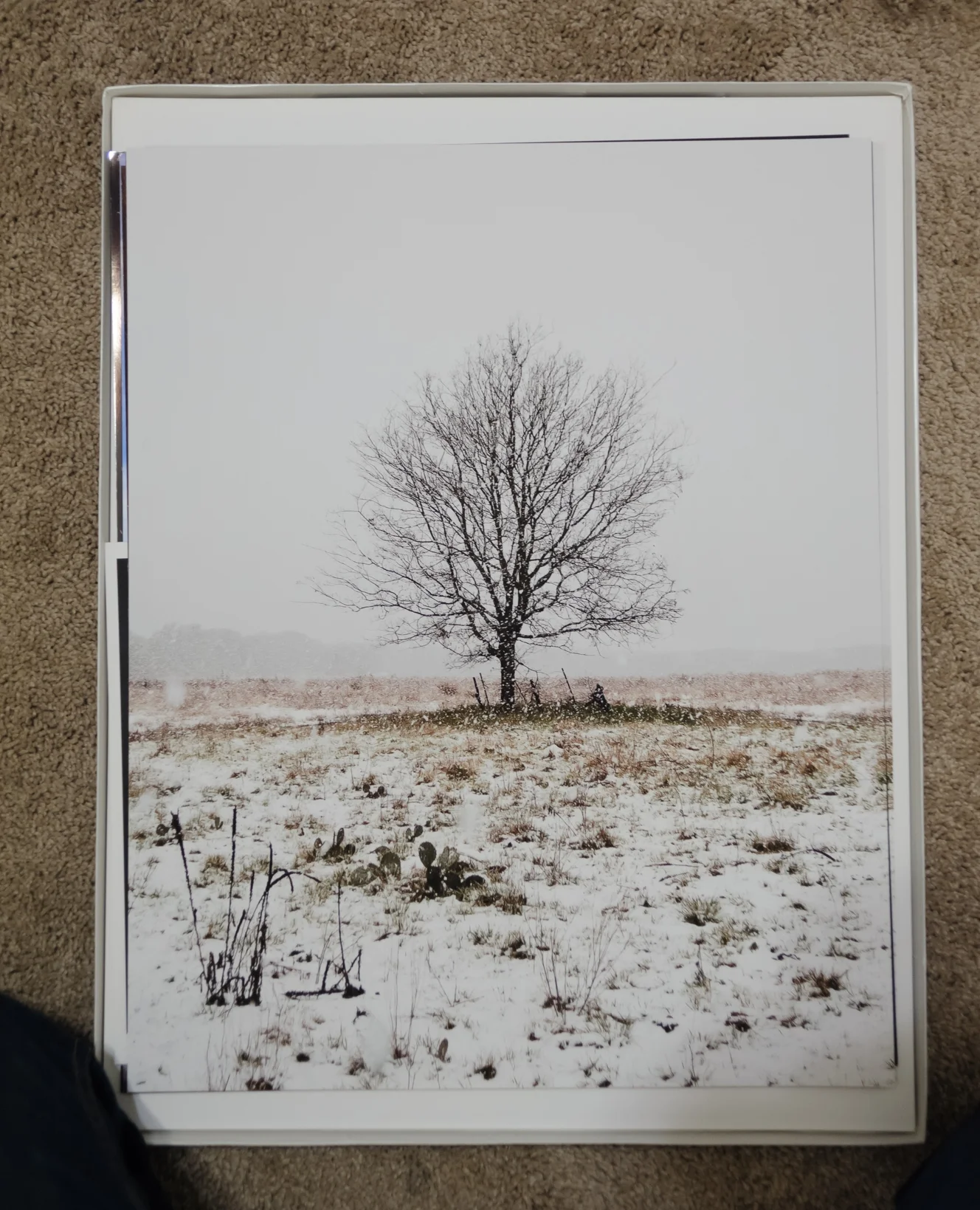 Walter_20180312_4.jpg