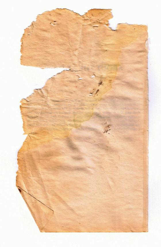 CCI01232009_00022-w560