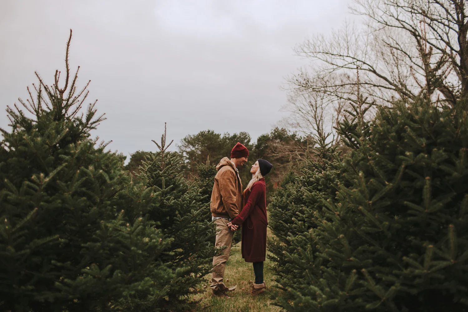 Boston Christmas Tree Farm Engagement Session