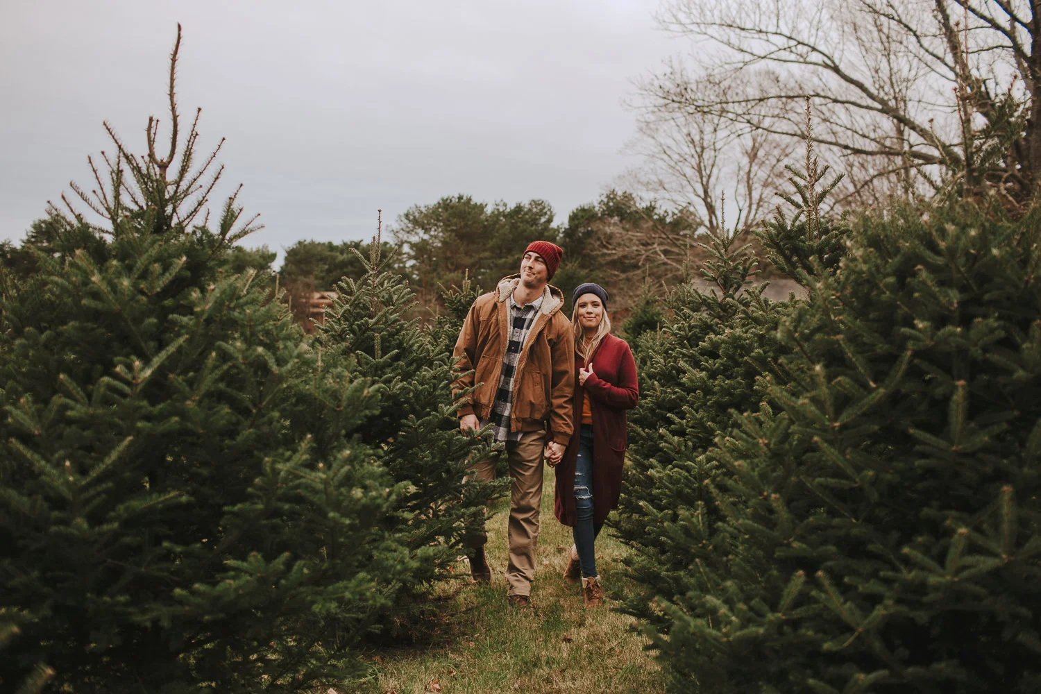 Boston Christmas Tree Farm Engagement Session