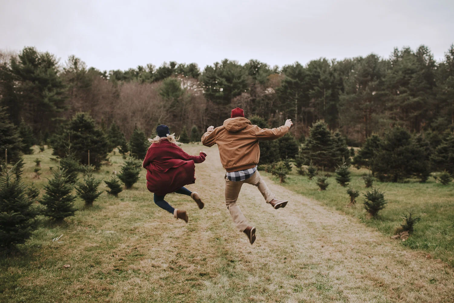Boston Christmas Tree Farm Engagement Session