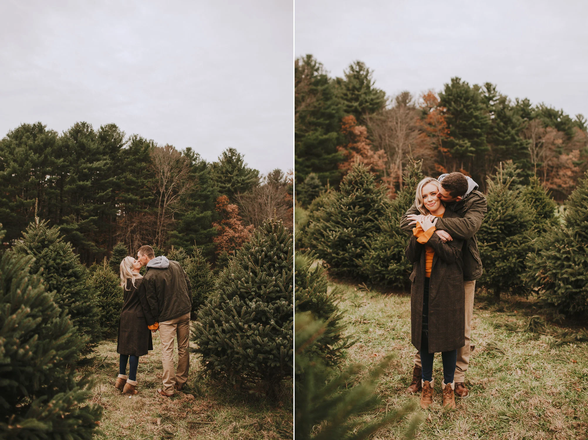 Boston Christmas Tree Farm Engagement Session