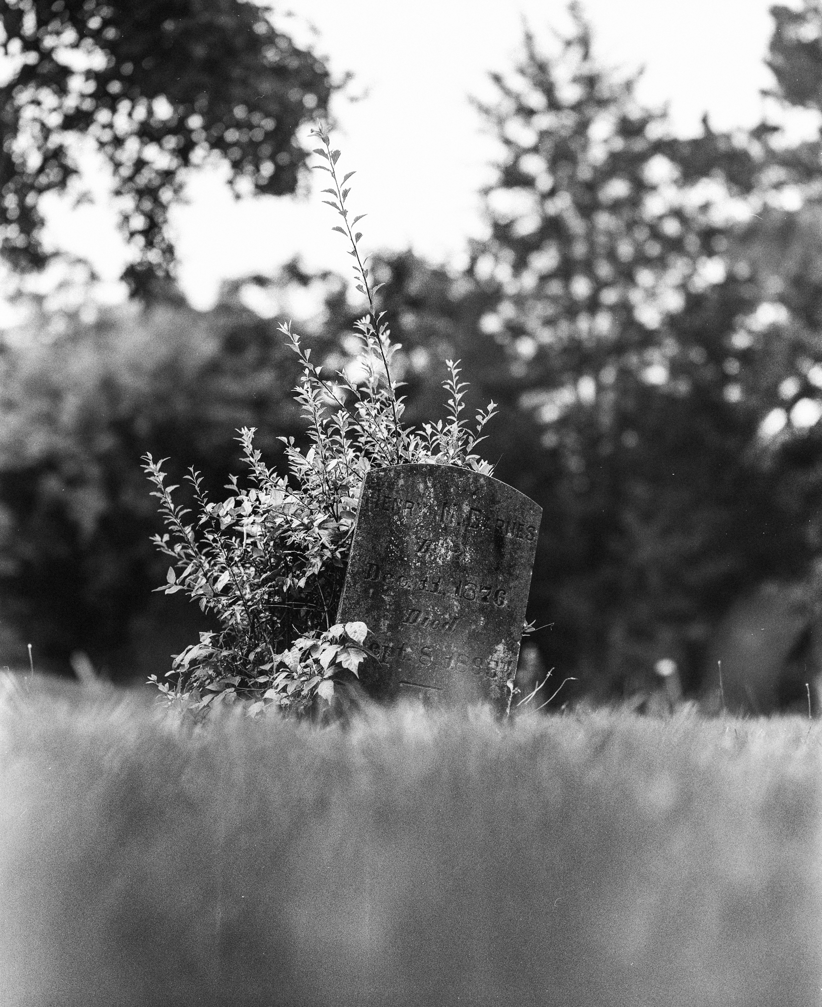 cemetery-4.jpg