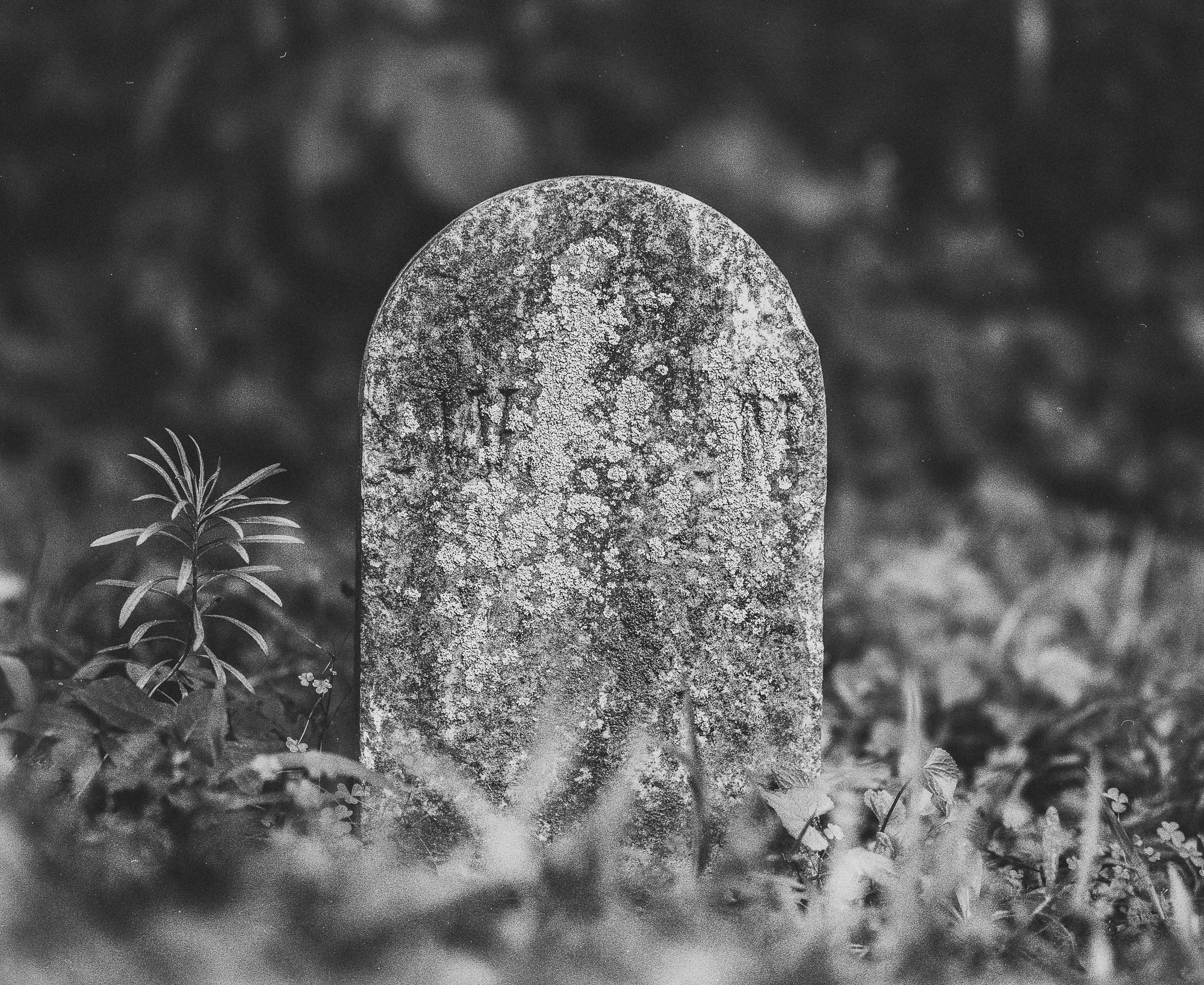 cemetery-3-Edit.jpg