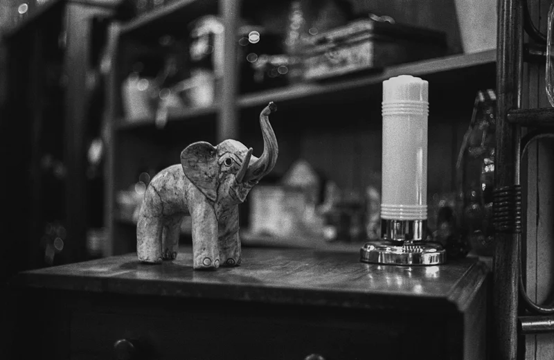 Leica M3 Hp5+ 