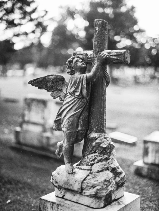 CAMERA: Mamiya 645 AF LENS: 80mm 1.9 FILM: Hp5+ 400