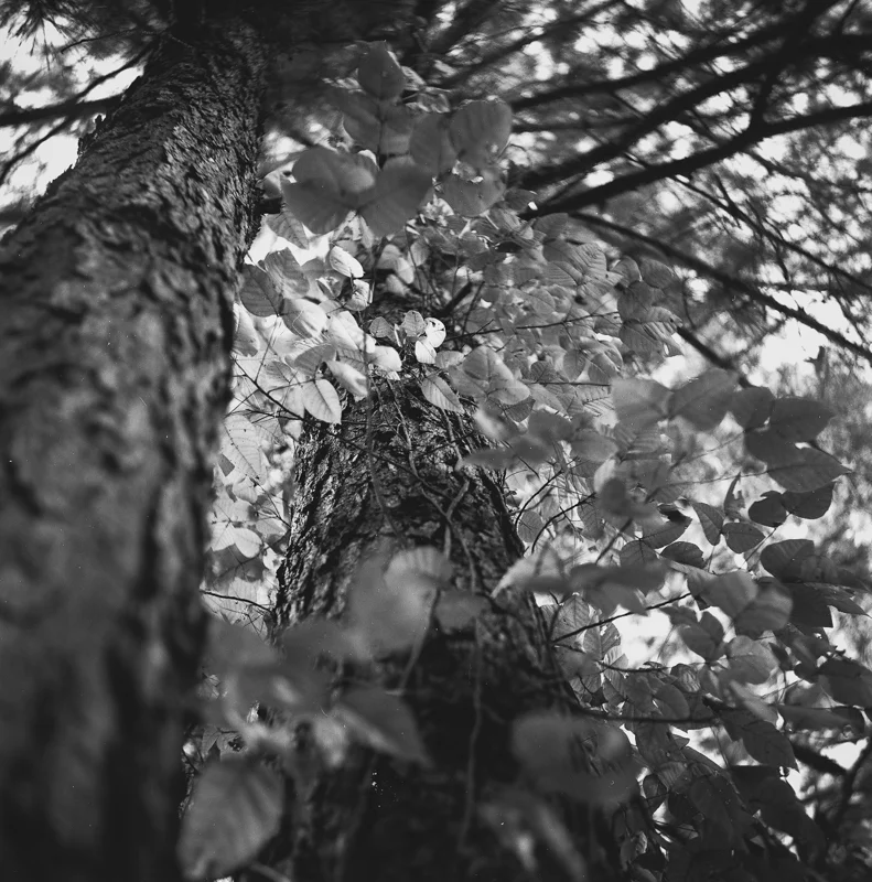 untitled-024.jpg