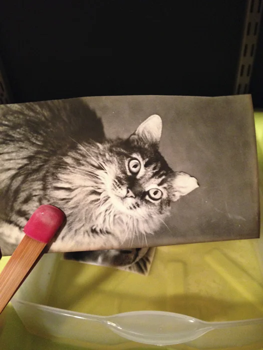 Furry gumdrop as a test strip!