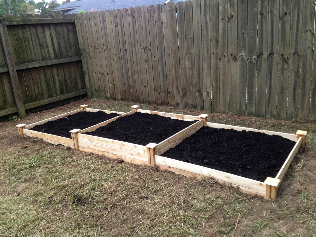 garden12.jpg