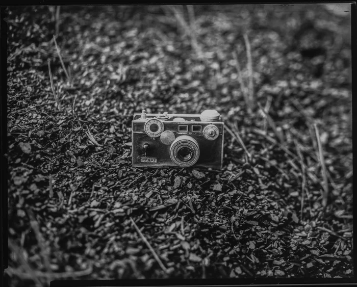 untitled-230.jpg