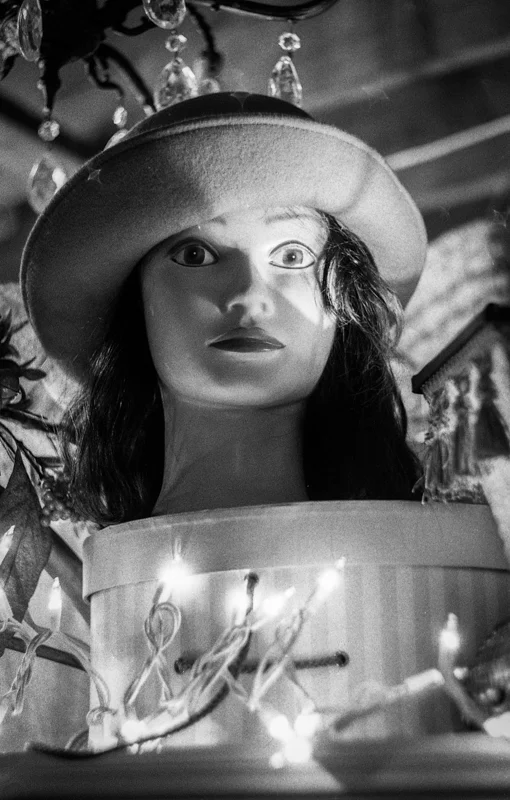 Camera: Minolta 7 Lens: Helios 44-2 FIlm: Hp5+ pushed to 800