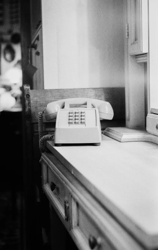 Camera: Minolta 7 Lens: Helios 44-2 FIlm: Hp5+ pushed to 800