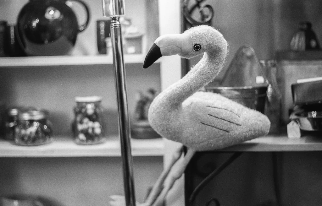 Camera: Canon IVSB2 canon 50mm ltm 1.8 type 1 Film: Hp5+ 400 Developer: Caffenol cm