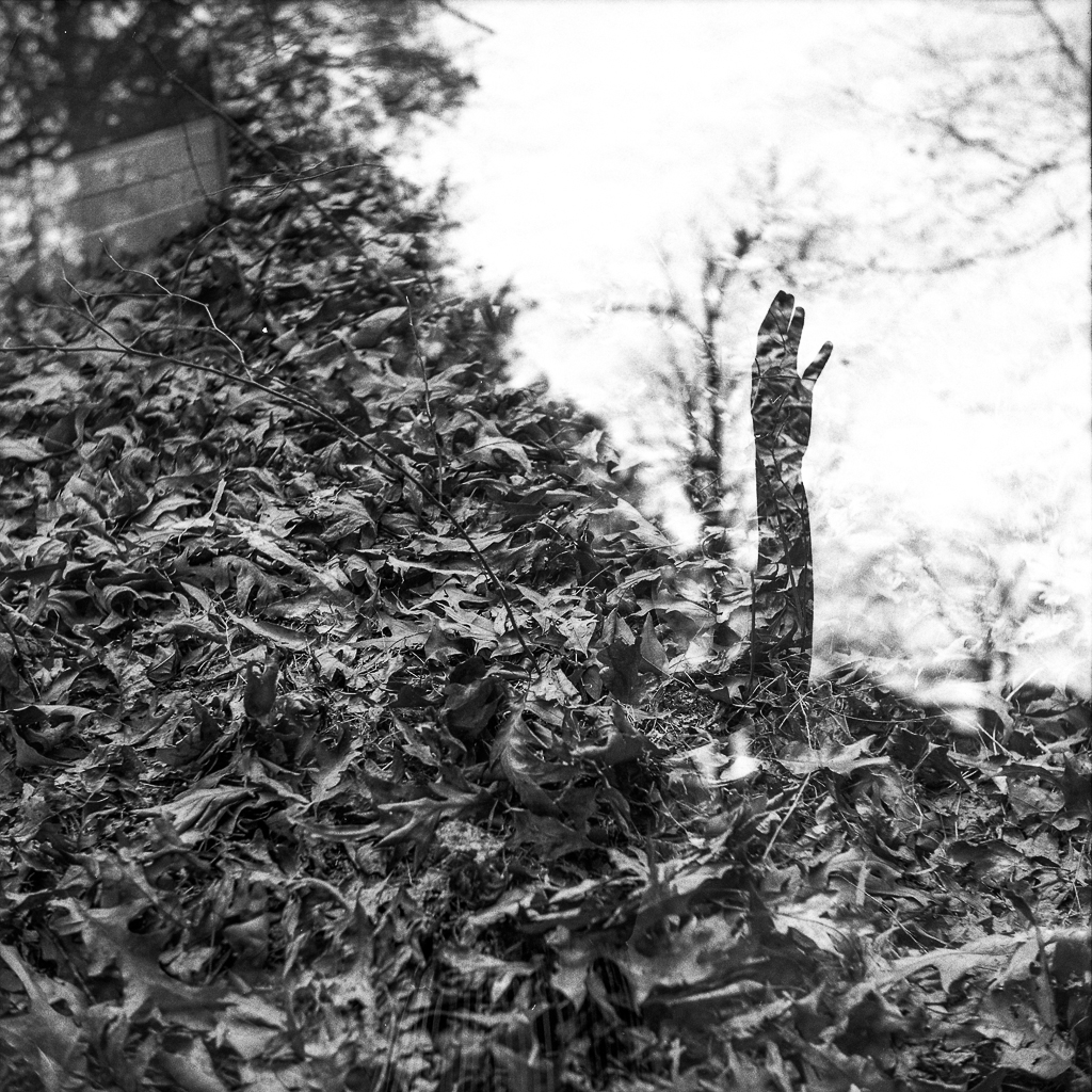 Camera: Yashica D Film: HP5+