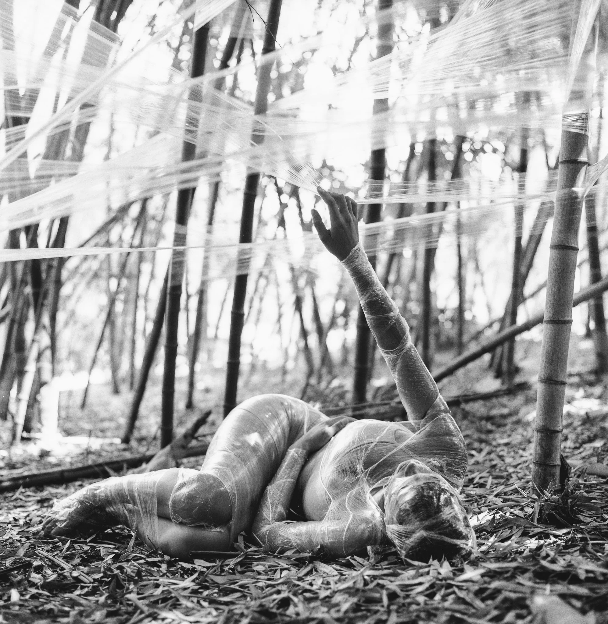 Model: Paige Wolcott Camera: Hasselblad 501CM Film: HP5+ rated at 800