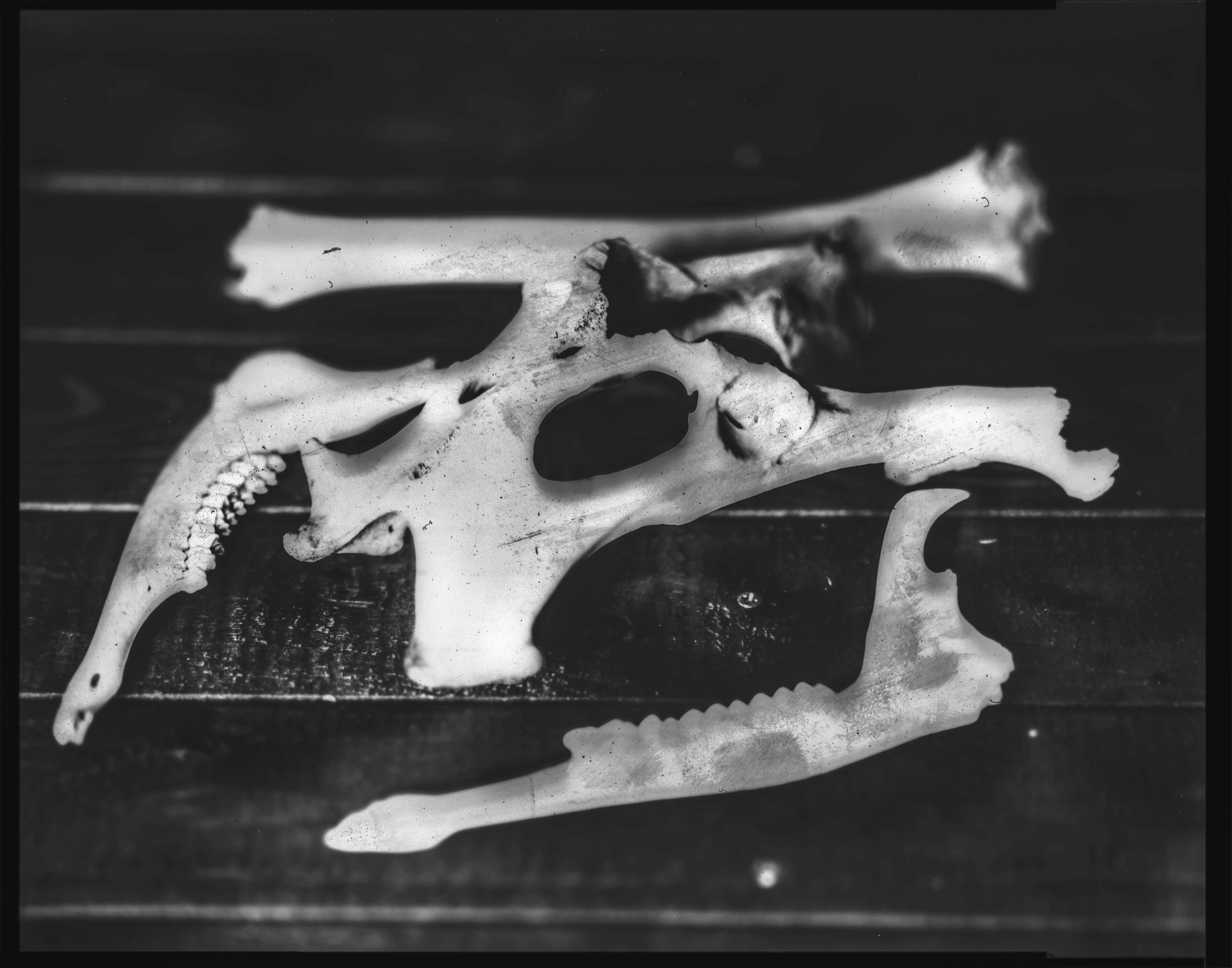 4x5 Paper Negative 1 Second F16