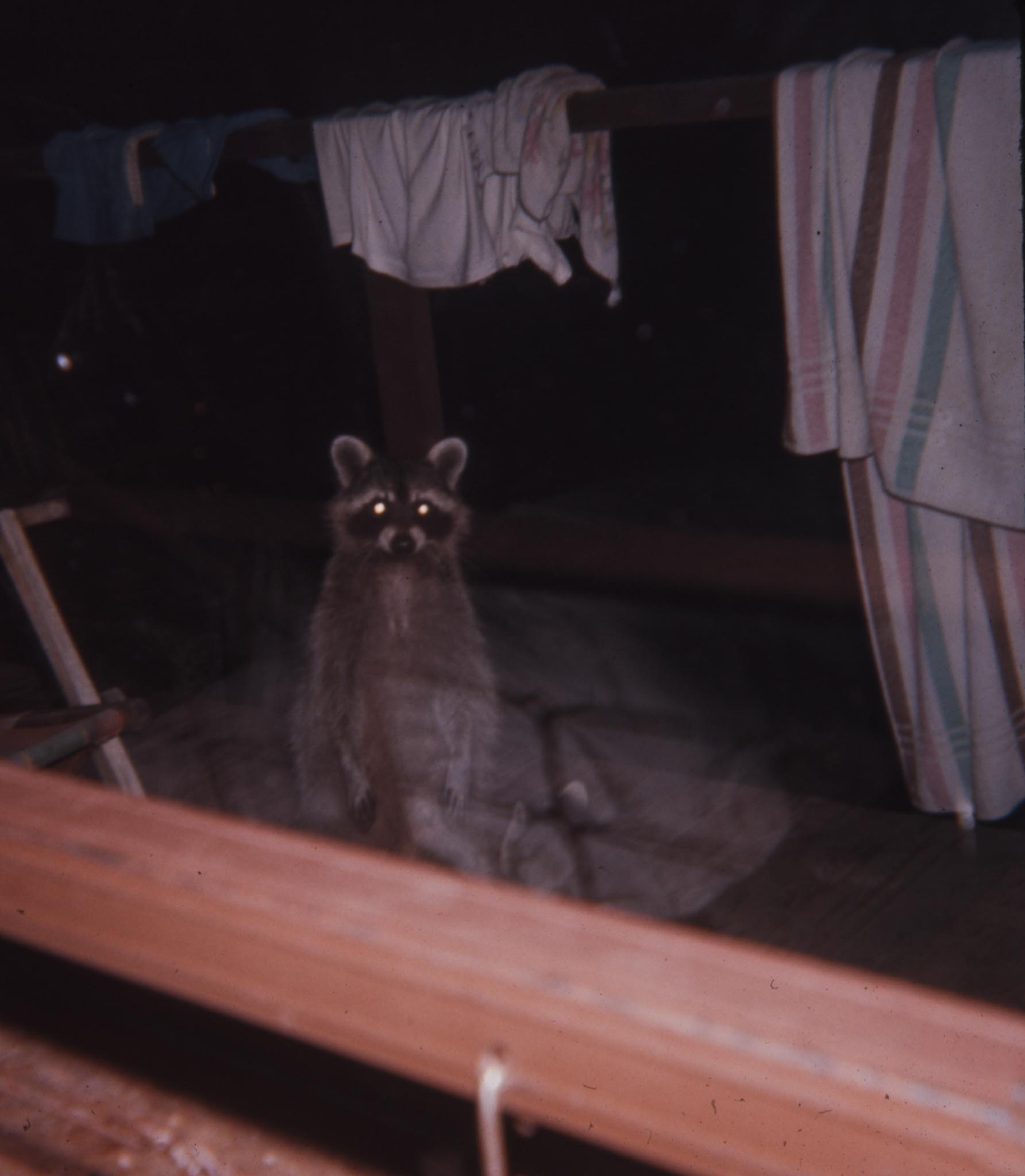 FOUND SLIDE FILM032.jpg