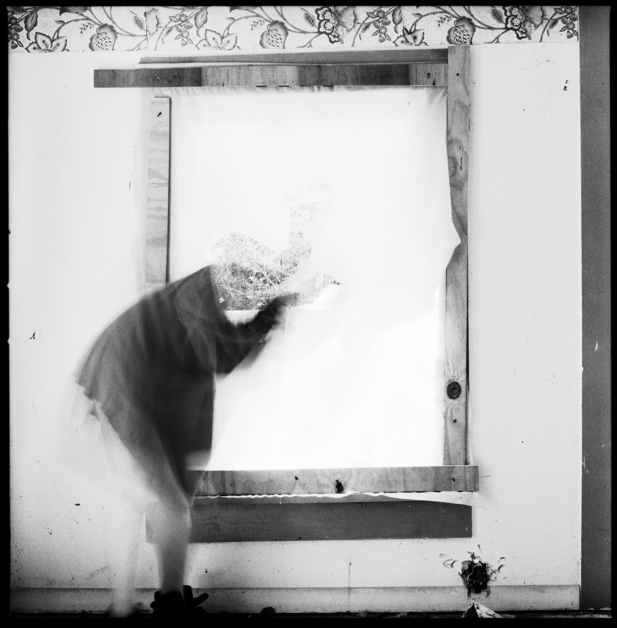 Model: Mackenzie Wolcott Cameras used: Hasselblad 501CM Film: Hp5+ 120 medium format