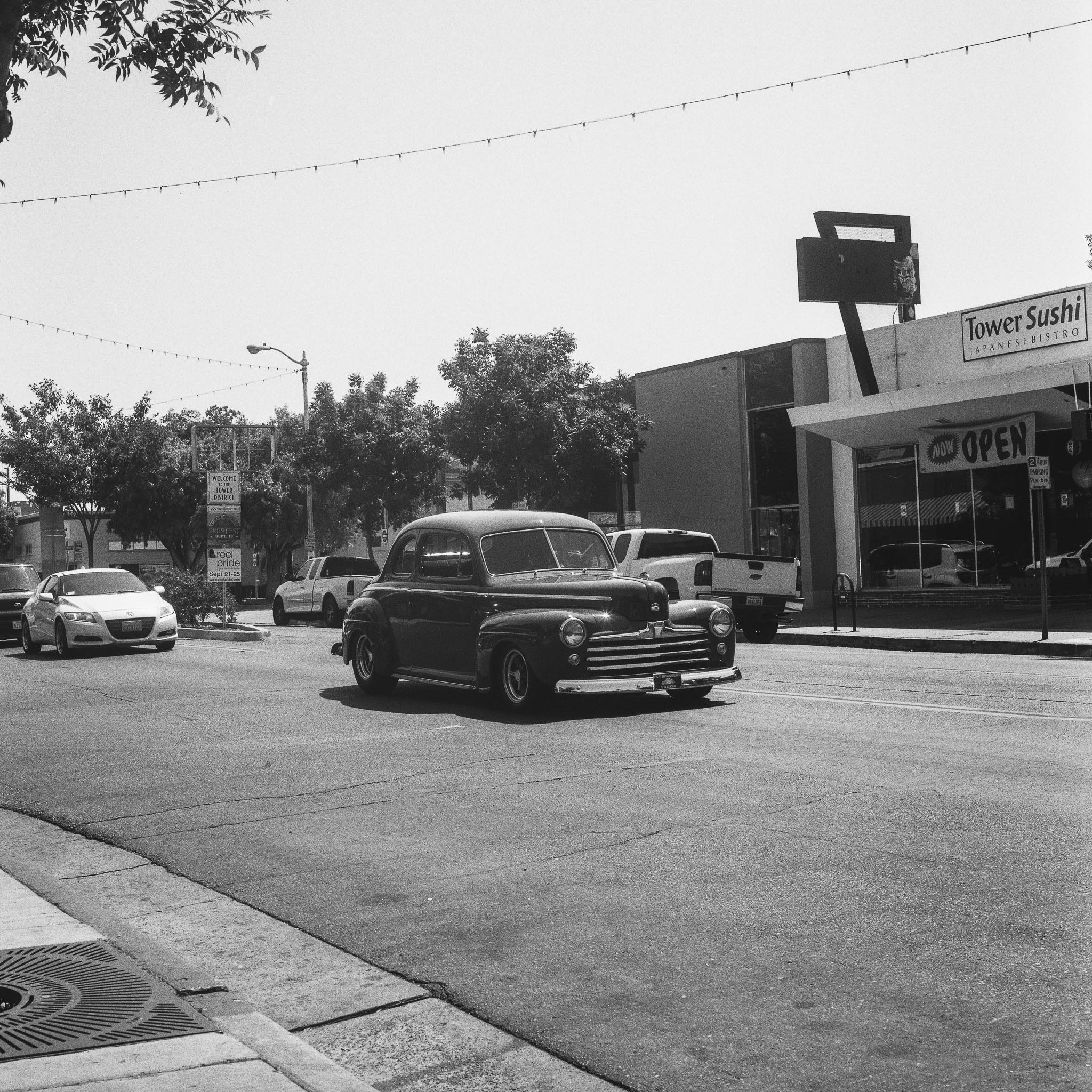 Camera used: Hasselblad 501CM Film: Hp+ Rated @800
