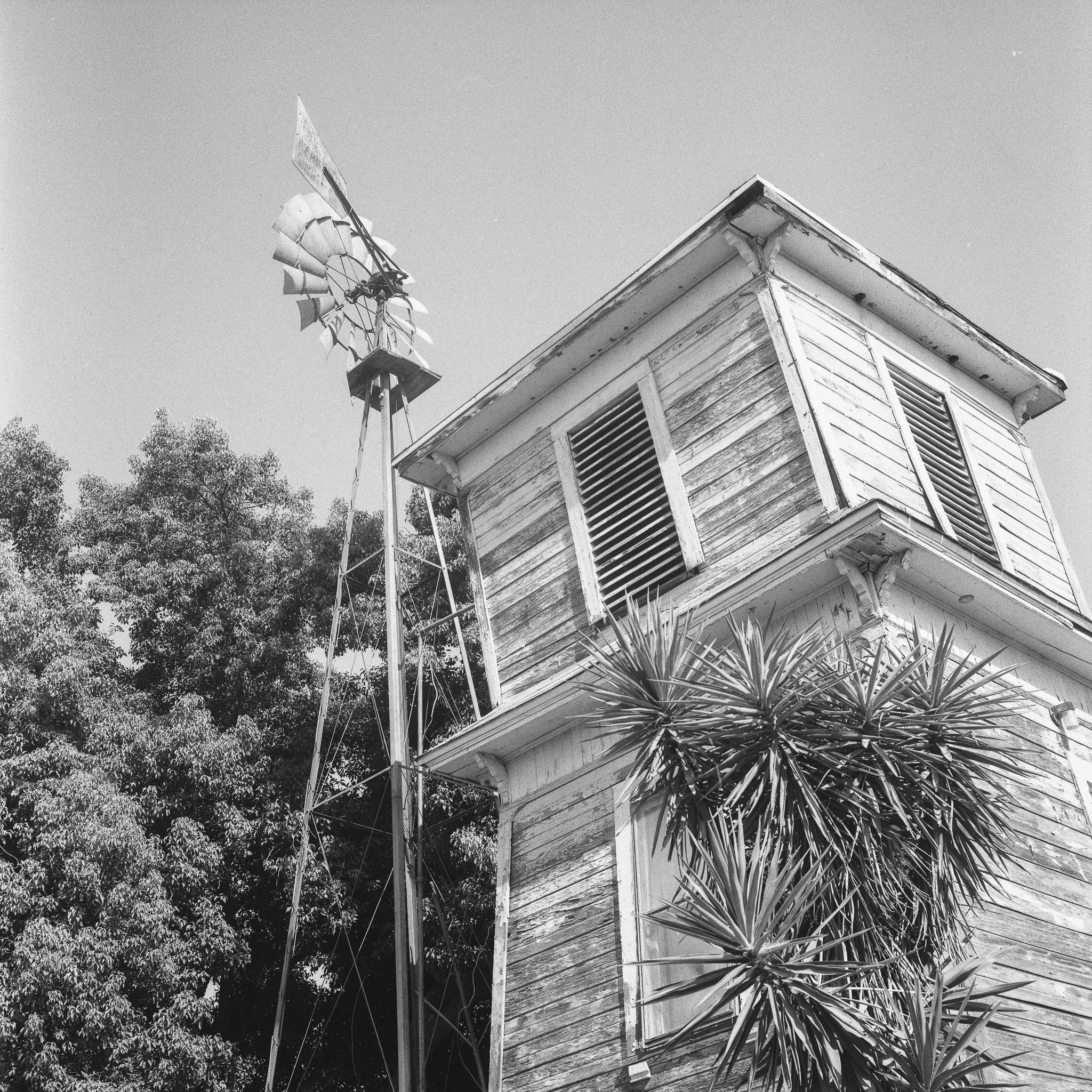 Camera used: Hasselblad 501CM Film: Hp+ Rated @800
