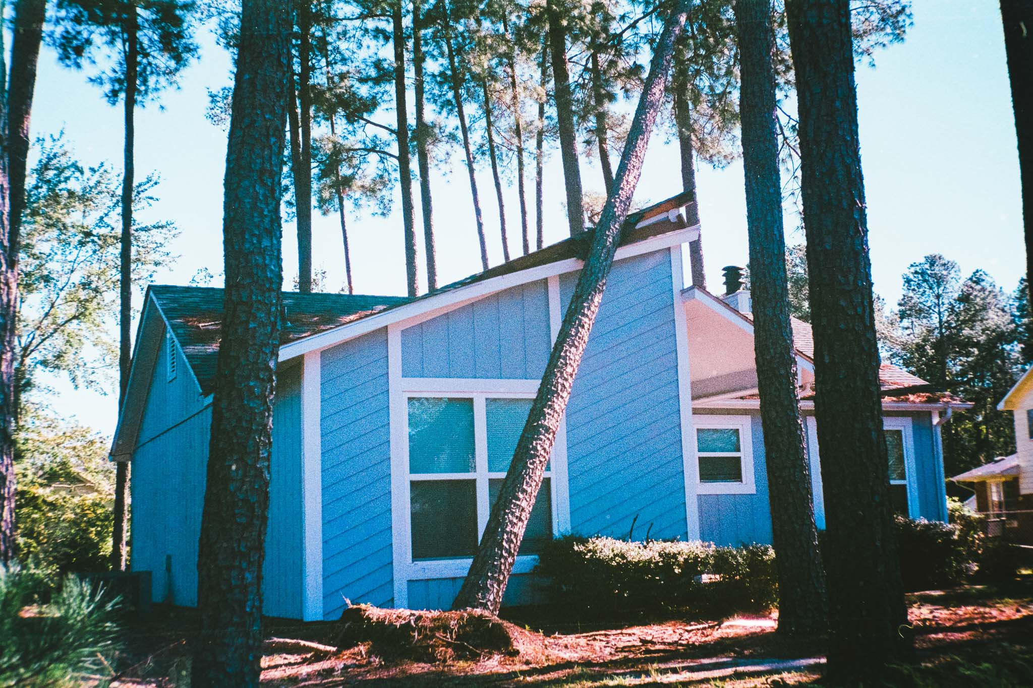 Camera: Minolta CLE Lens: 40mm M Rokkor Film: Fujicolor 400