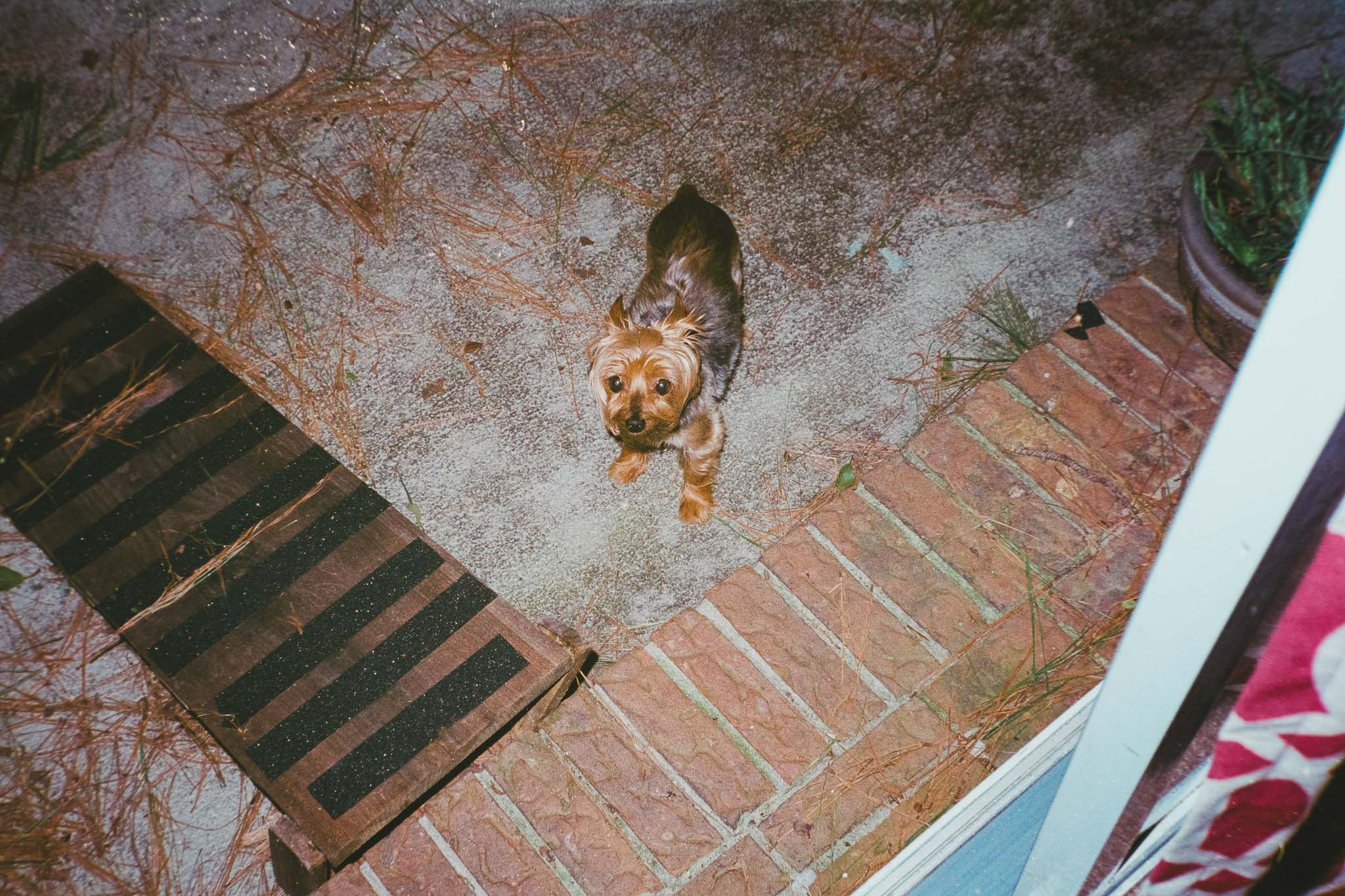 Camera: Minolta CLE Lens: 40mm M Rokkor Film: Fujicolor 400
