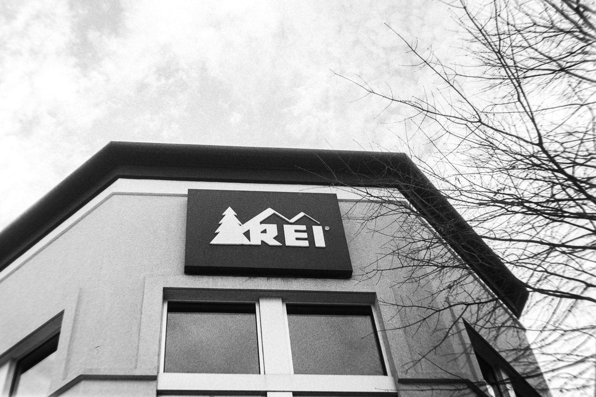Camera: Minolta CLE Lens: 40mm M Rokkor Film: HP5+ plus rated at 800